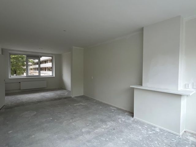 Spinozaweg 205, Rotterdam