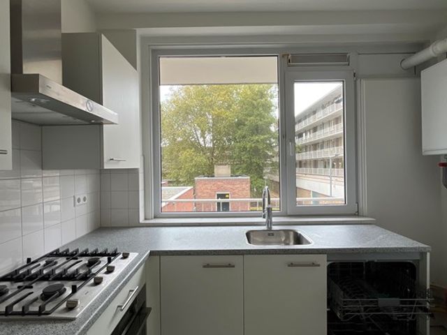 Spinozaweg 205, Rotterdam