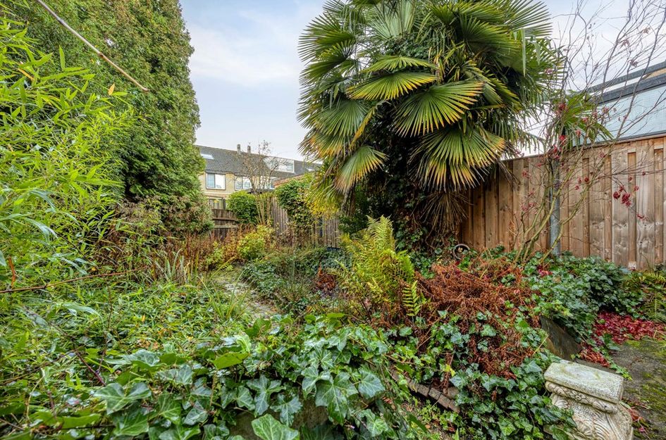 Dokter Schöyerstraat 91