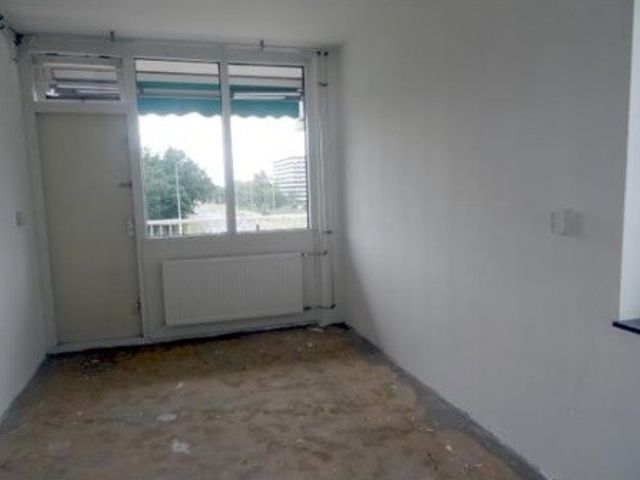 Hogevecht ONG, Amsterdam