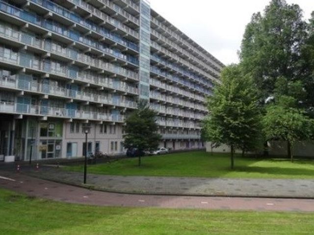 Hogevecht ONG, Amsterdam