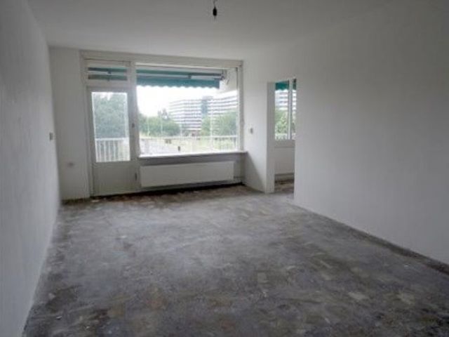 Hogevecht ONG, Amsterdam