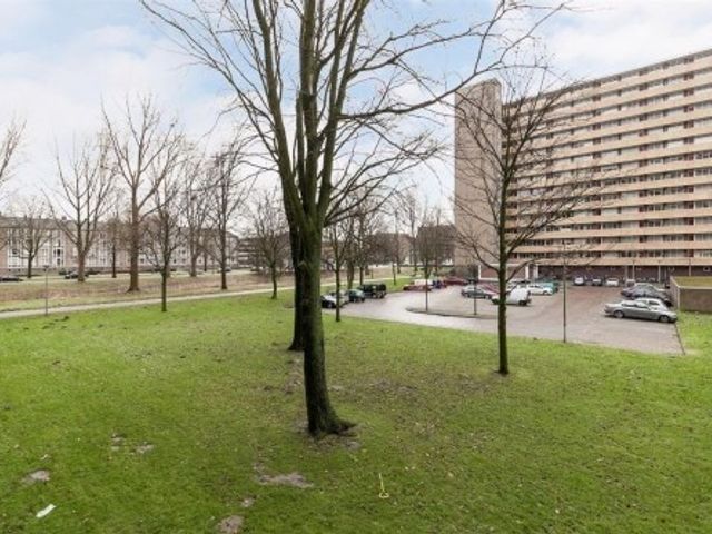 Langswater ONG, Amsterdam