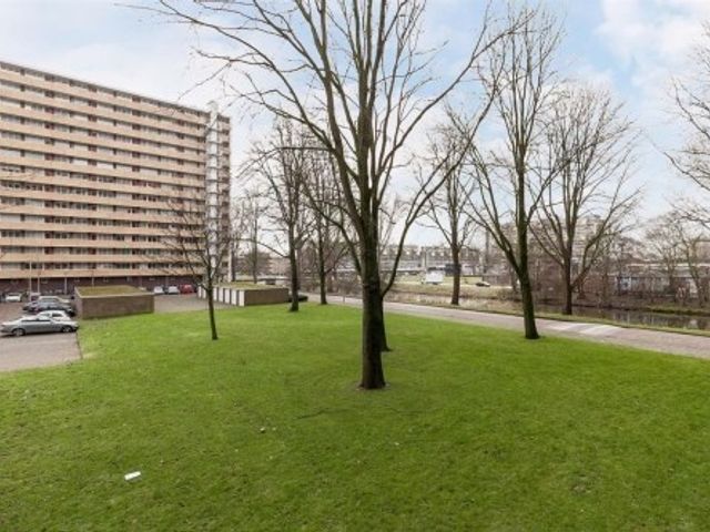 Langswater ONG, Amsterdam