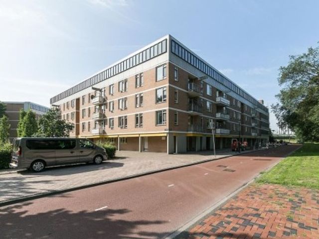 Haardstee ONG, Amsterdam