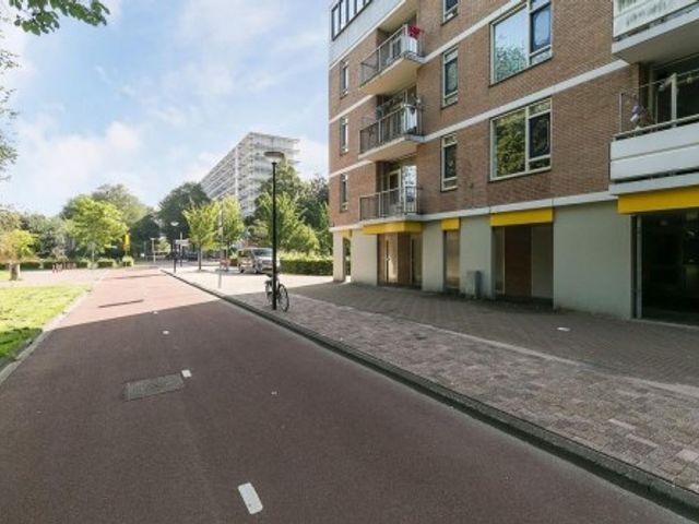 Haardstee ONG, Amsterdam