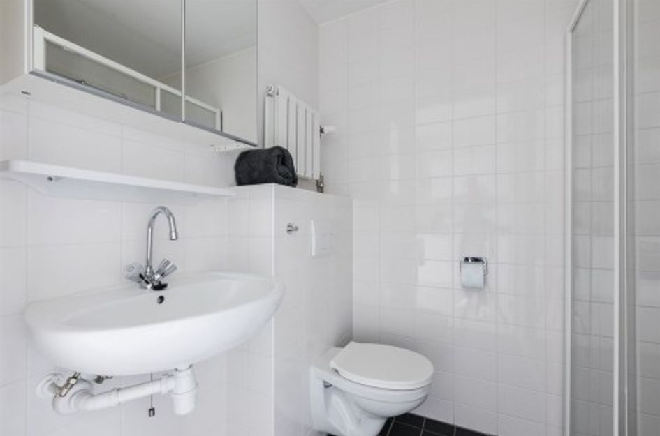 Bos en Lommerplantsoen ONG