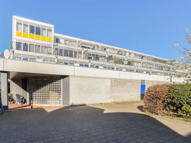 Reigersbos ONG, Amsterdam