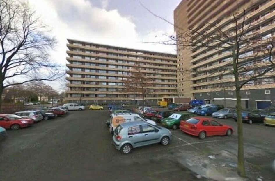 Bosboom-Toussaintplein ONG