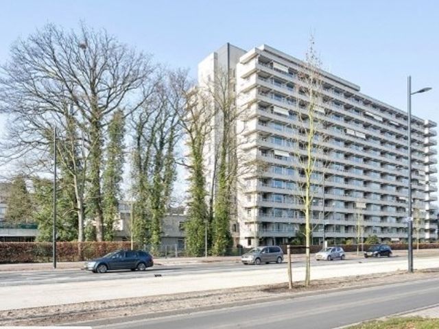 Herman Gorterlaan ONG, Eindhoven