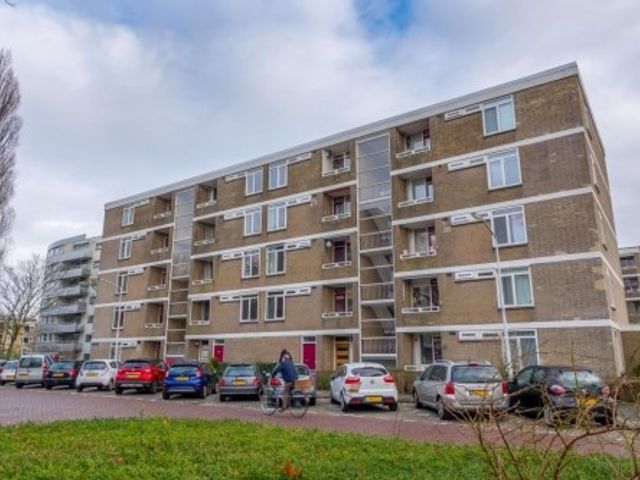 Cesar Franckstraat ONG, Leiden