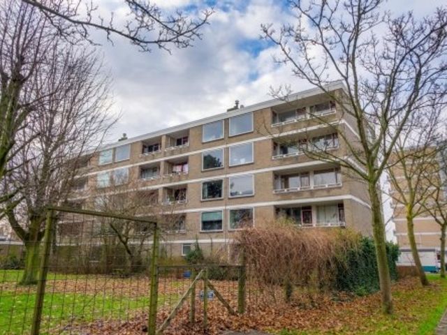 Cesar Franckstraat ONG, Leiden