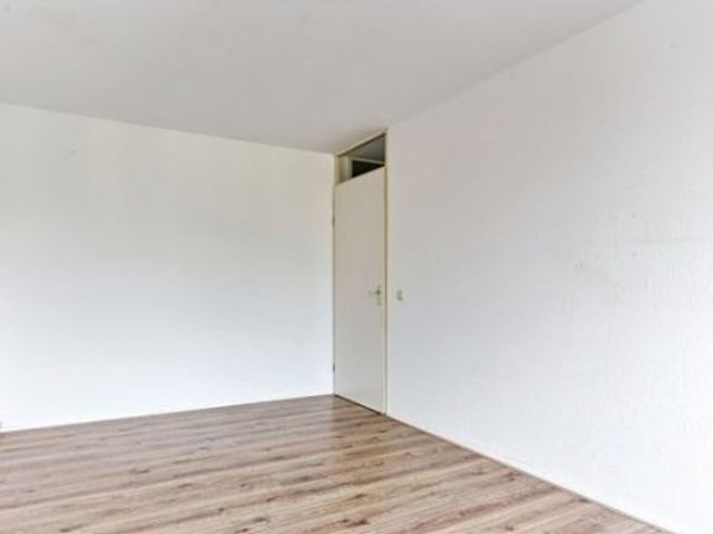 Clermontlunet ONG, Maastricht