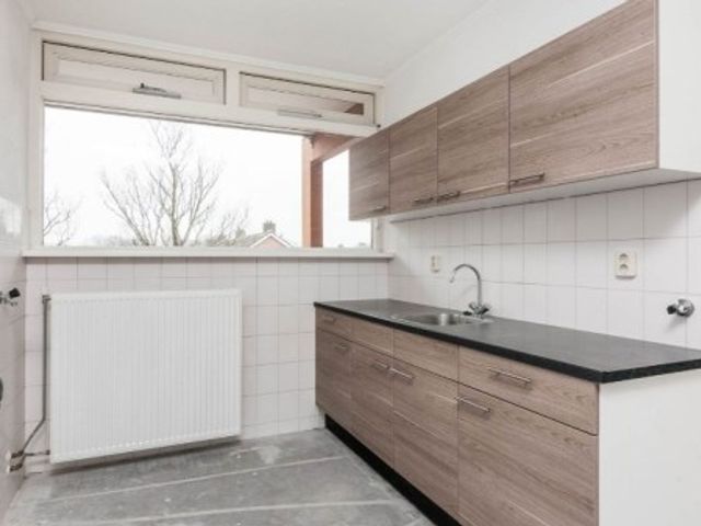 Meijhorst ONG, Nijmegen