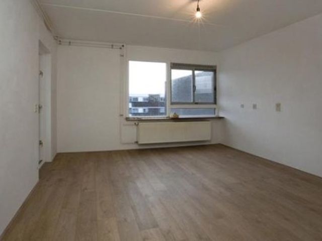 Ringbaan-Zuid ONG, Tilburg