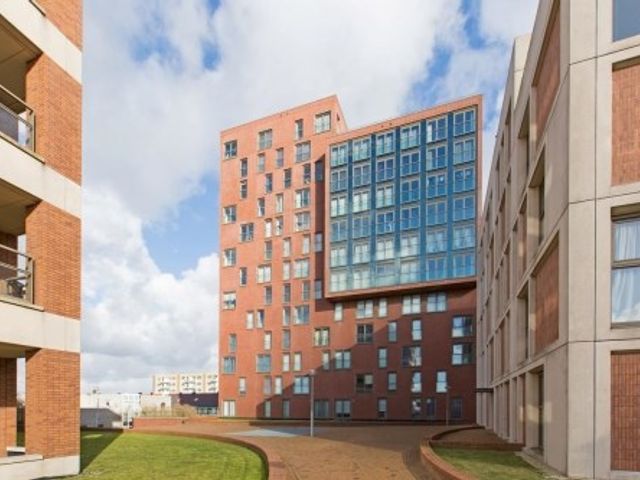 Teakhout ONG, Zaandam