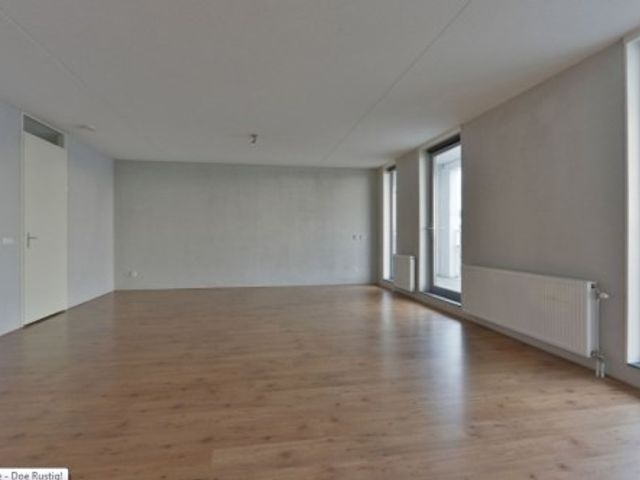 Plein 1953 ONG, Rotterdam