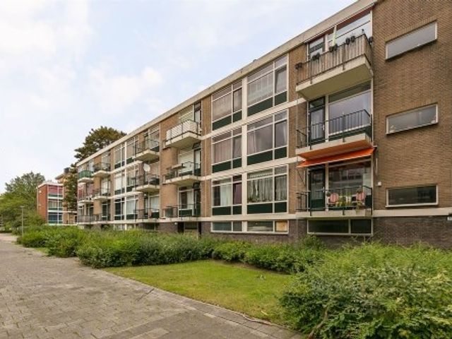 Kapershoek ONG, Rotterdam
