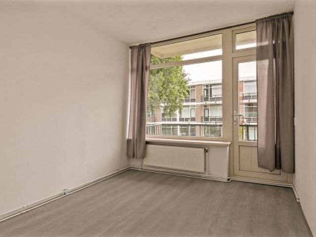 Kapershoek ONG, Rotterdam