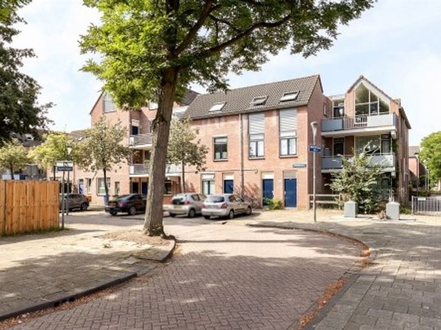 Helsingborgerf ONG, Rotterdam