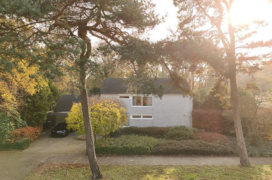 Johan De Wittlaan 19