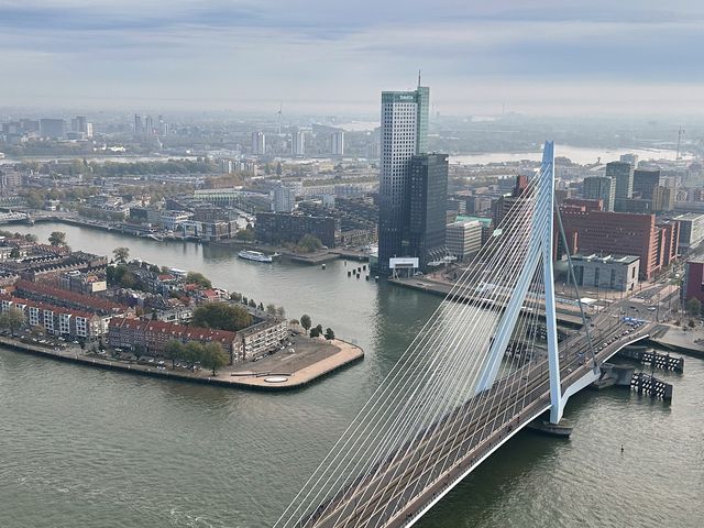 Houtlaan 483, Rotterdam