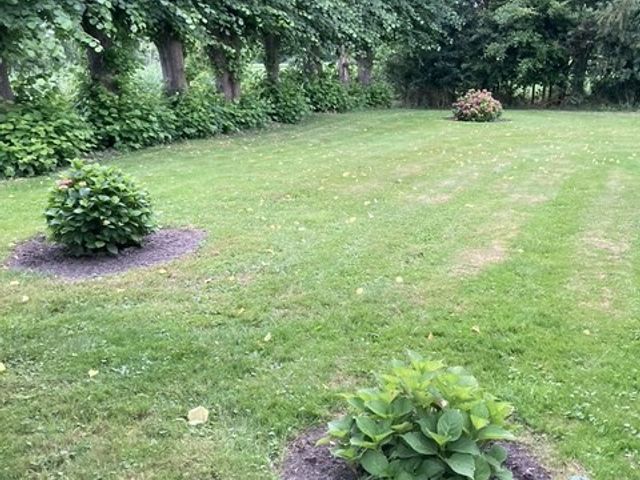 Millinghaweg 5, Niekerk