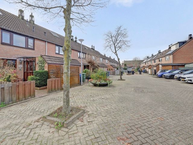 Papaver 7, Hoogvliet Rotterdam