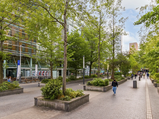 Crack-State 80, Amsterdam