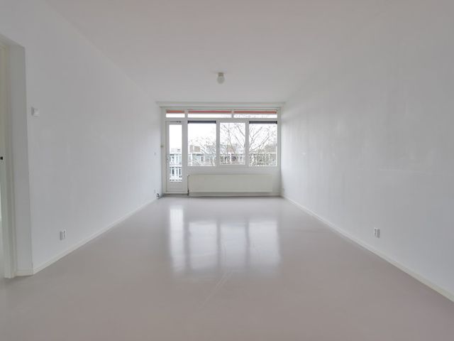 Crack-State 80, Amsterdam