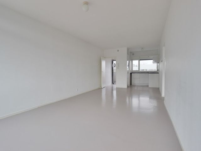 Crack-State 80, Amsterdam