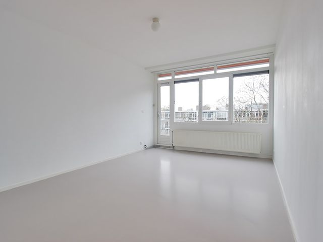 Crack-State 80, Amsterdam