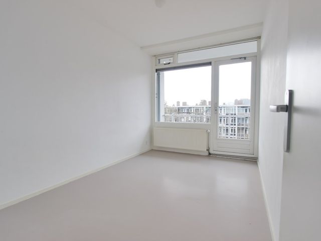 Crack-State 80, Amsterdam