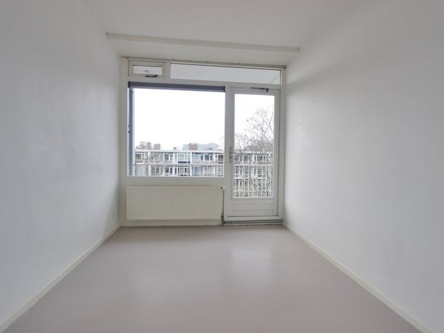 Crack-State 80, Amsterdam