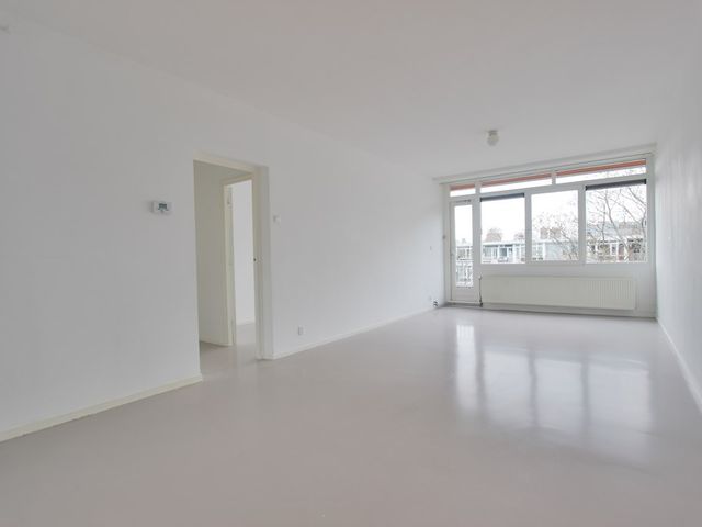 Crack-State 80, Amsterdam