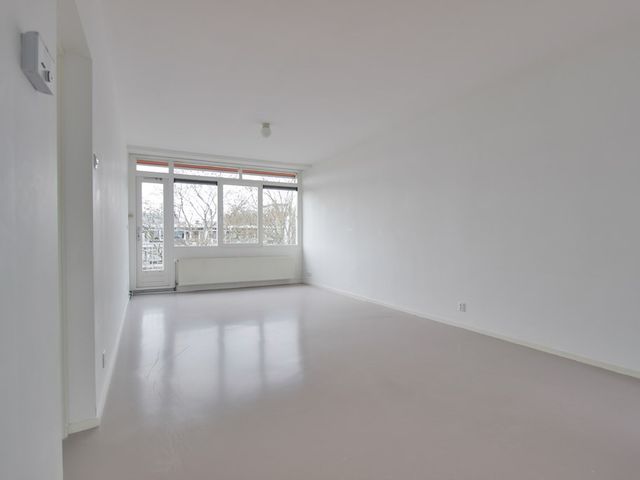 Crack-State 80, Amsterdam