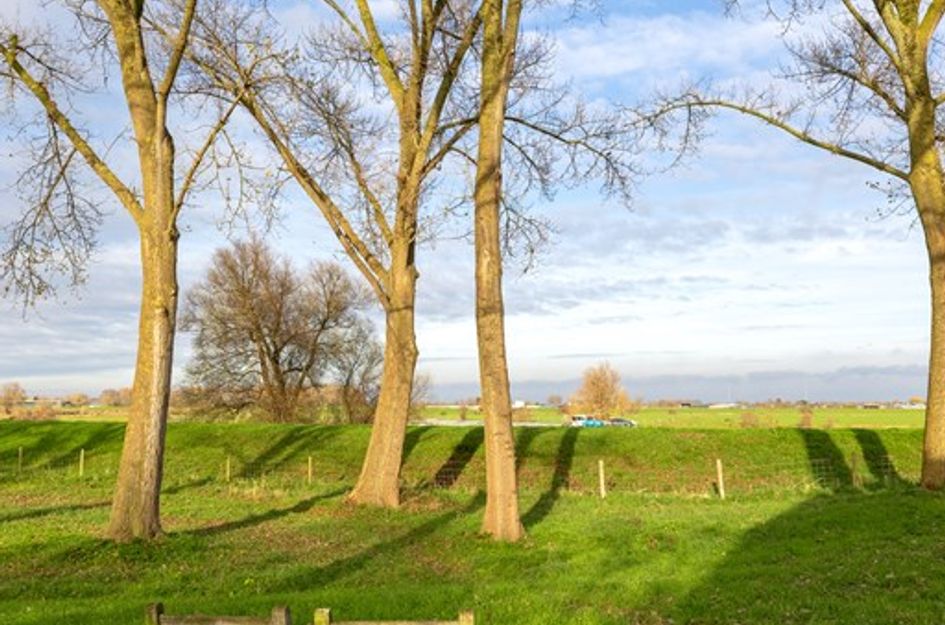 Bokhovense Maasdijk 4