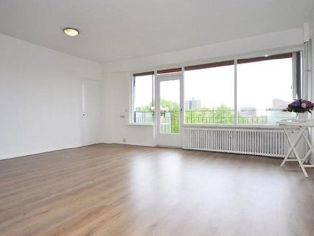 Dignaland , Den Haag