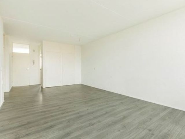 Cruquiuslaan , Leiden