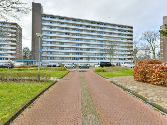 Honthorstlaan , Alkmaar