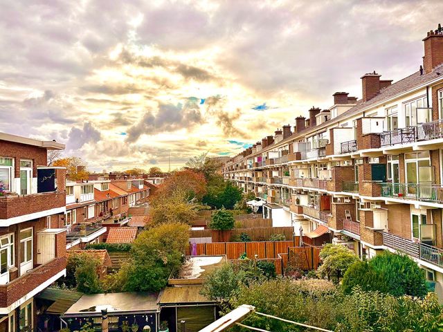 Driebergenstraat 19, 's-Gravenhage