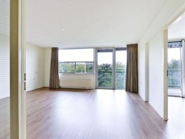 Adolphine Eduardine Kokplantsoen , Amsterdam