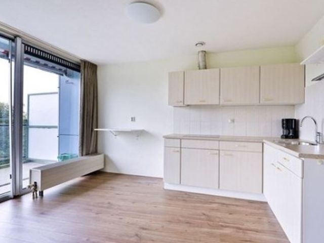 Adolphine Eduardine Kokplantsoen , Amsterdam