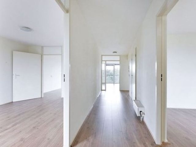 Adolphine Eduardine Kokplantsoen , Amsterdam