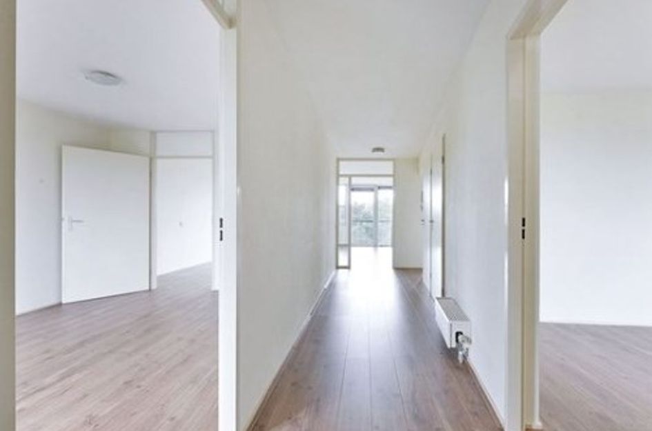 Adolphine Eduardine Kokplantsoen 