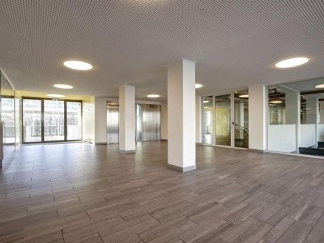 Bos en Lommerplantsoen , Amsterdam