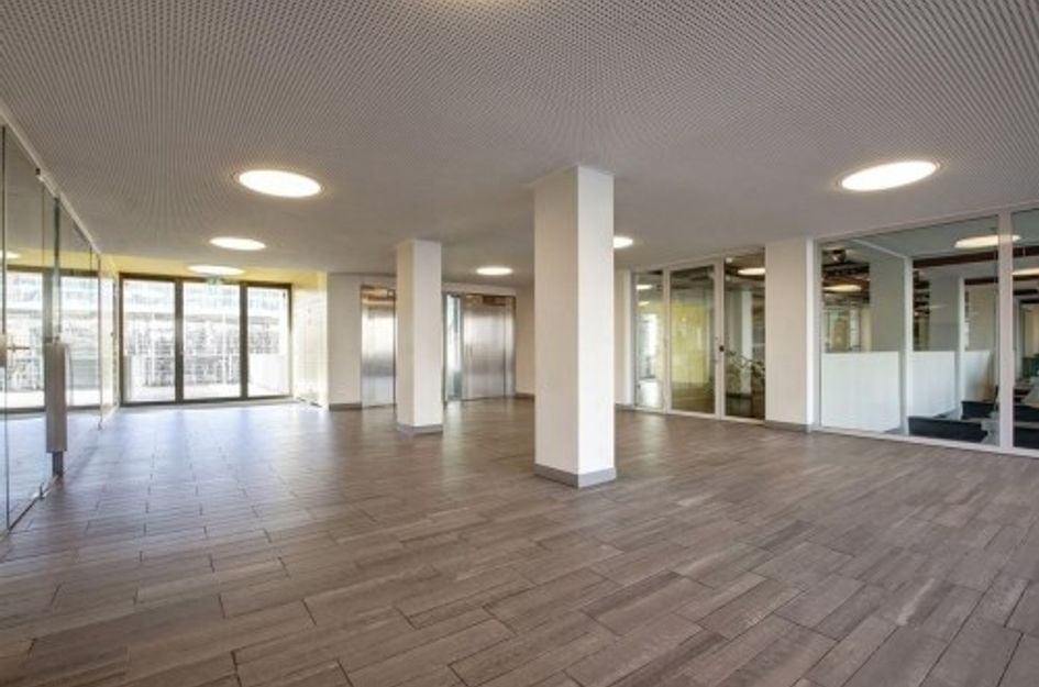 Bos en Lommerplantsoen 