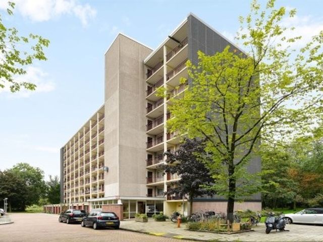 Elpermeer , Amsterdam