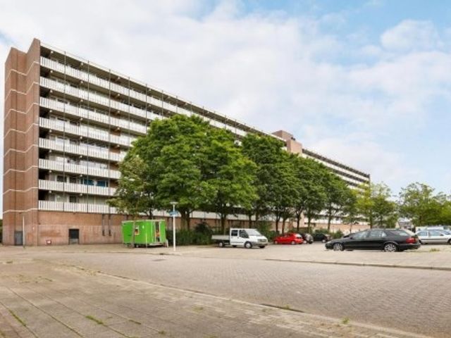 Nederlandplein ONG, Eindhoven