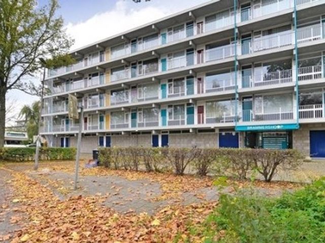 Brammershoop ONG, Haarlem